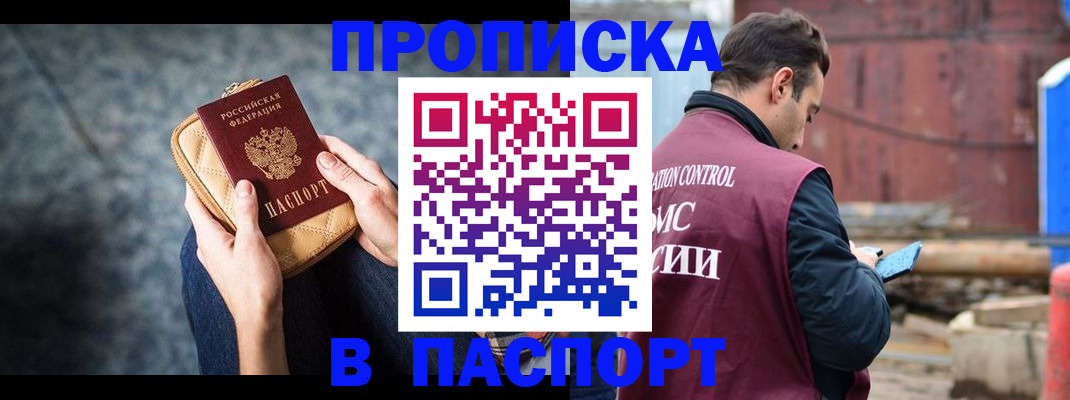 прописка для школы в Купино